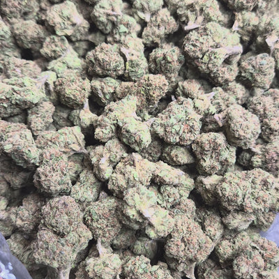 Gelato #33 THCA Flower – Indoor Top Shelf Hybrid | CaliGreenGold