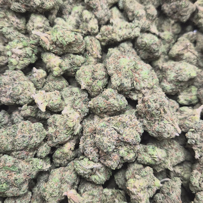 Sour OG THCA Flower – Hybrid · Indoor Top Shelf | CaliGreenGold