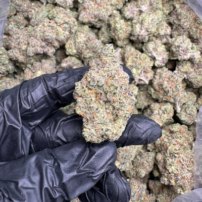 Punch Berry THCA Flower – Indoor Top Shelf Sativa | CaliGreenGold - CaliGreenGold