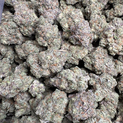 Punch Berry THCA Flower – Indoor Top Shelf Sativa | CaliGreenGold - CaliGreenGold