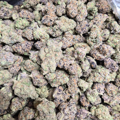 Purple Crack THCA Flower – Indoor Top Shelf Sativa | CaliGreenGold - CaliGreenGold