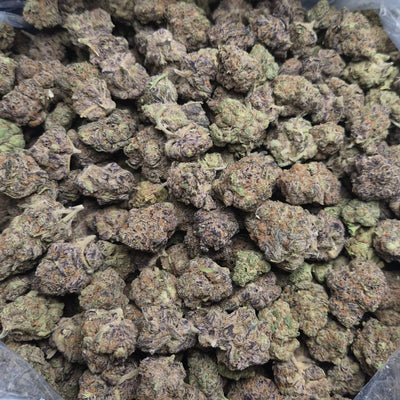 Purple Milk THCA Flower – Indoor Top Shelf Hybrid | CaliGreenGold - CaliGreenGold