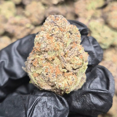 Purple Milk THCA Flower – Indoor Top Shelf Hybrid | CaliGreenGold - CaliGreenGold