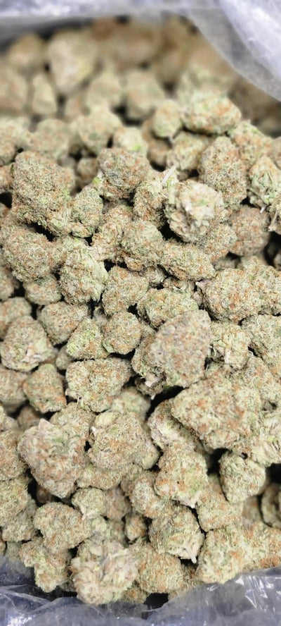 Purple Punch High THCA Flower Indica - CaliGreenGold