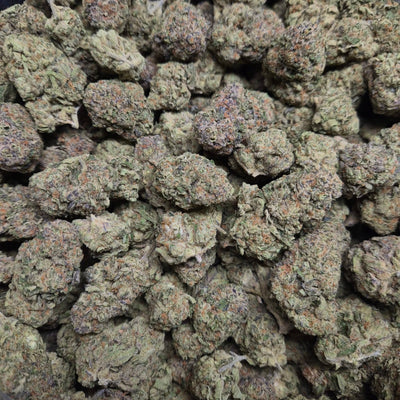 Purple Tesla THCA Flower – Indoor Top Shelf Indica | CaliGreenGold - CaliGreenGold