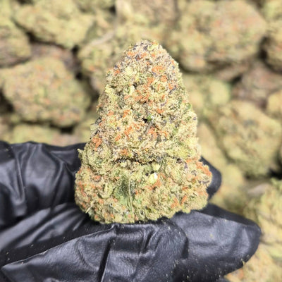 Purple Tesla THCA Flower – Indoor Top Shelf Indica | CaliGreenGold - CaliGreenGold
