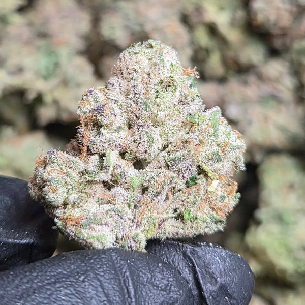 Push Pop THCA Flower – Indica · Indoor Top Shelf - CaliGreenGold