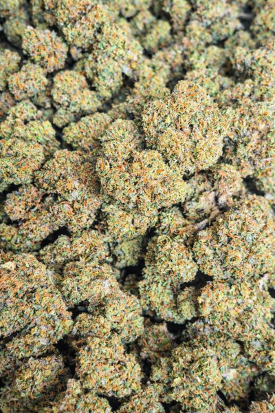 Rainbow Runtz High THCA Flower Hybrid - CaliGreenGold