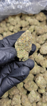 Pinnacle High THCA Flower Hybrid