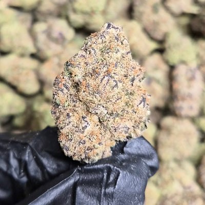 Candy Zaza THCA Flower – Indoor Top Shelf Indica | CaliGreenGold