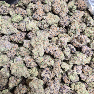 Purple Crack THCA Flower – Indoor Top Shelf Sativa | CaliGreenGold