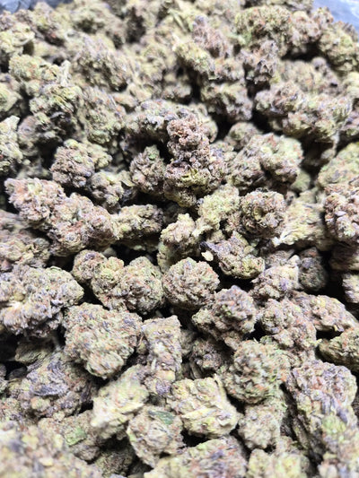 Hash Burger THCA Flower – Indoor Top Shelf Hybrid | CaliGreenGold