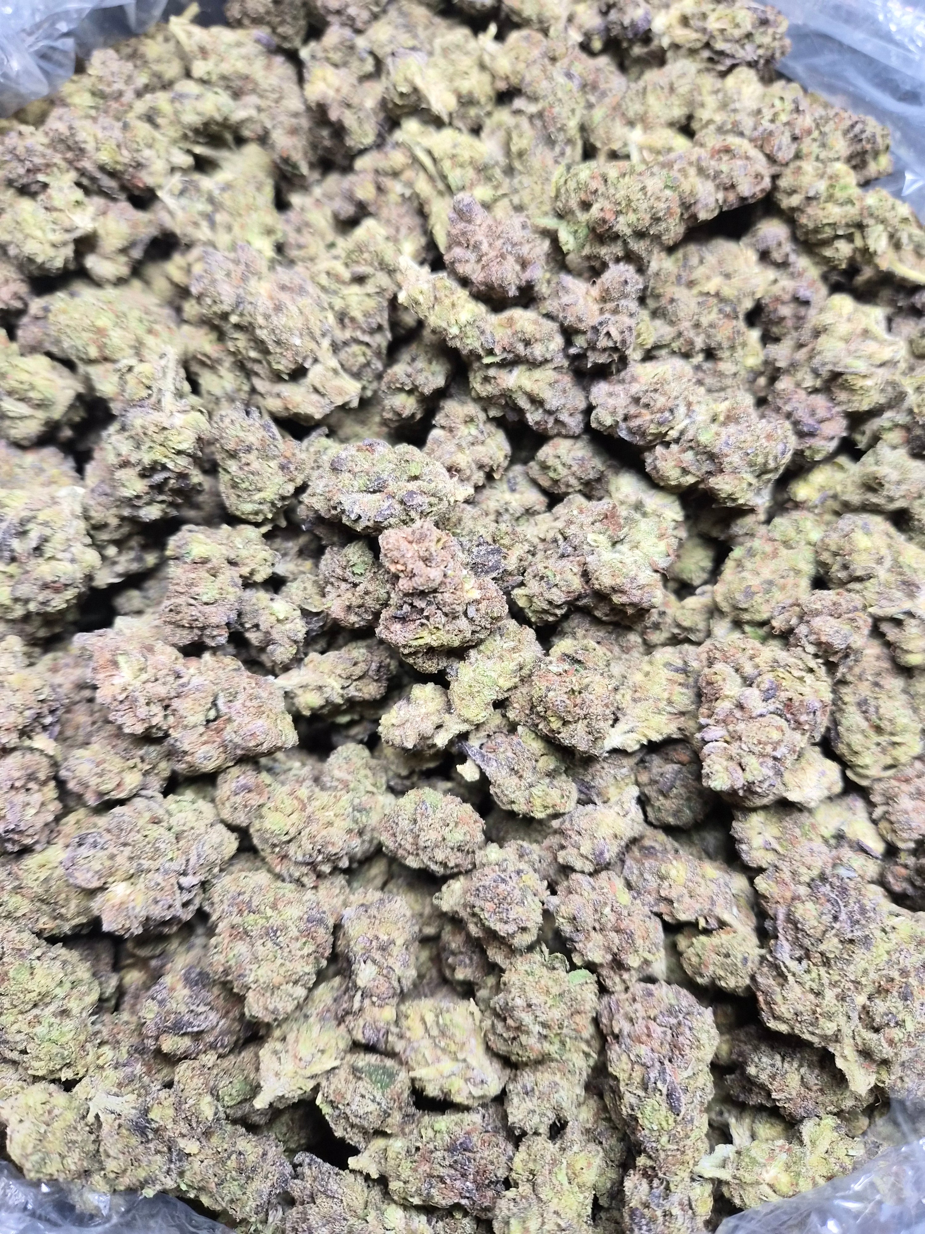 Hash Burger THCA Flower – Indoor Top Shelf Hybrid | CaliGreenGold