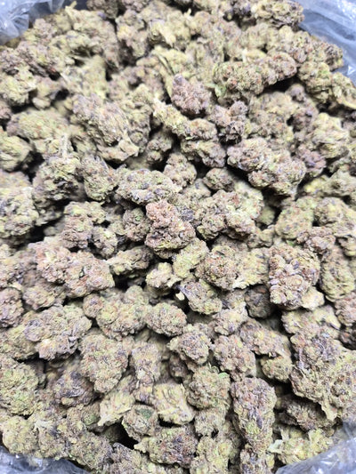 Hash Burger THCA Flower – Indoor Top Shelf Hybrid | CaliGreenGold