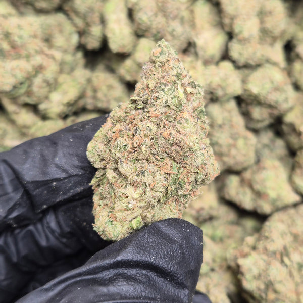 Sour OG THCA Flower – Hybrid · Indoor Top Shelf | CaliGreenGold