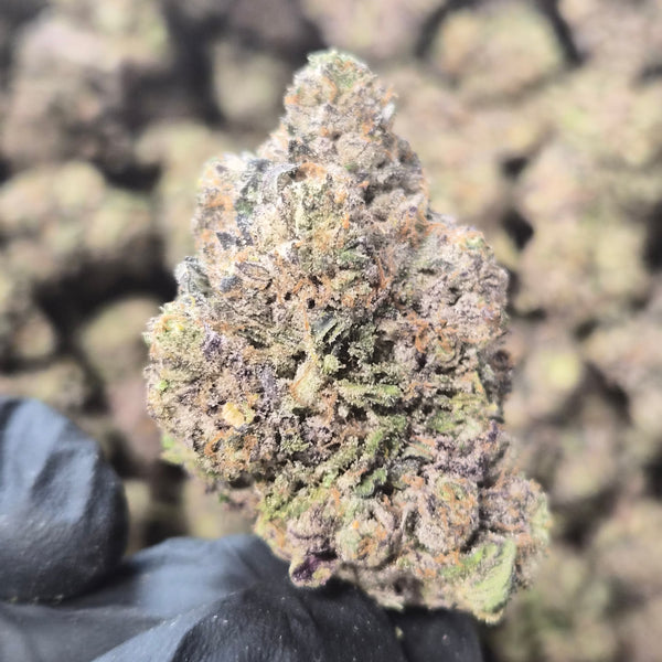 Candy Gas THCA Flower – Hybrid · Indoor Exotic