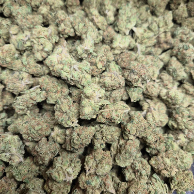 Orange Julius THCA Flower – Indoor Top Shelf Sativa | CaliGreenGold
