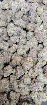 Black Runtz Exotic Indoor THCA Flower Indica