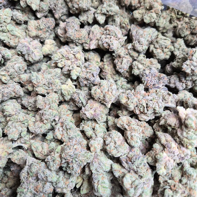 Blue Razz Kush THCA Flower – Indoor Exotic Hybrid | CaliGreenGold