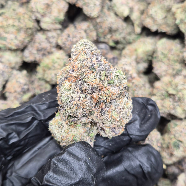 Watermelon Ringz THCA Flower – Indica · Indoor Exotic | CaliGreenGold