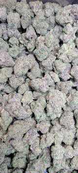 Gumbo Exotic Indoor THCA Flower Indica