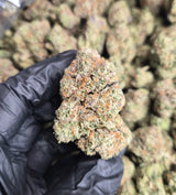 Pink Runtz High THCA Flower Hybrid