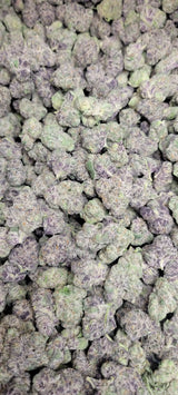 Candy Gelato Exotic Indoor THCA Flower Hybrid