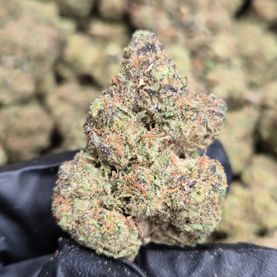 Blue Star THCA Flower – Indoor Top Shelf Hybrid | CaliGreenGold