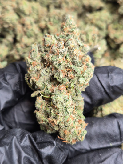 Jack 1 THCA Flower – Indoor Exotic Sativa | CaliGreenGold