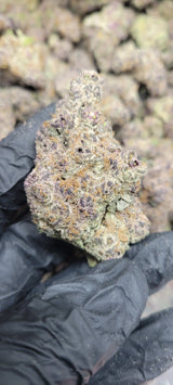 Super Runtz Exotic Indoor THCA Flower Hybrid