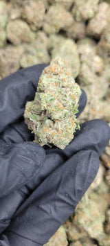 Blueberry Pancakes High THCA Flower Indica