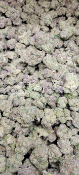 Candyland Exotic Indoor THCA Flower Sativa