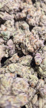 Blueberry Pie Exotic Indoor THCA Flower Hybrid