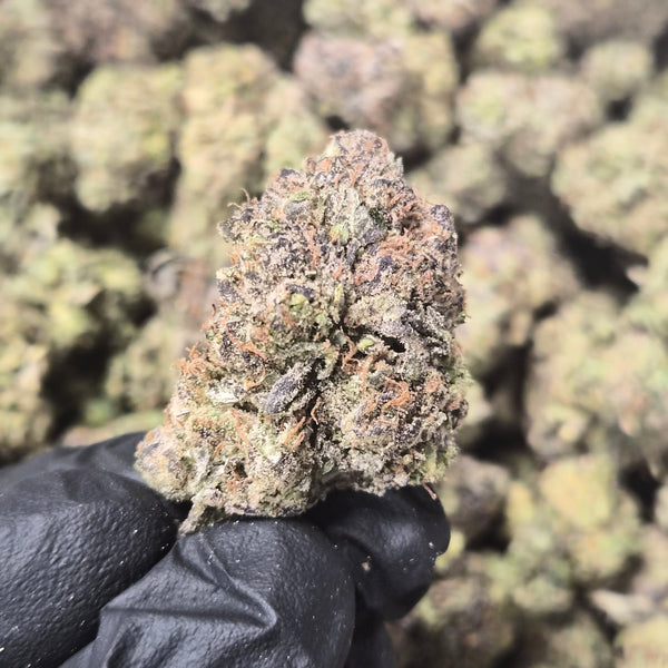 Candy Runtz THCA Flower – Hybrid · Indoor Top Shelf