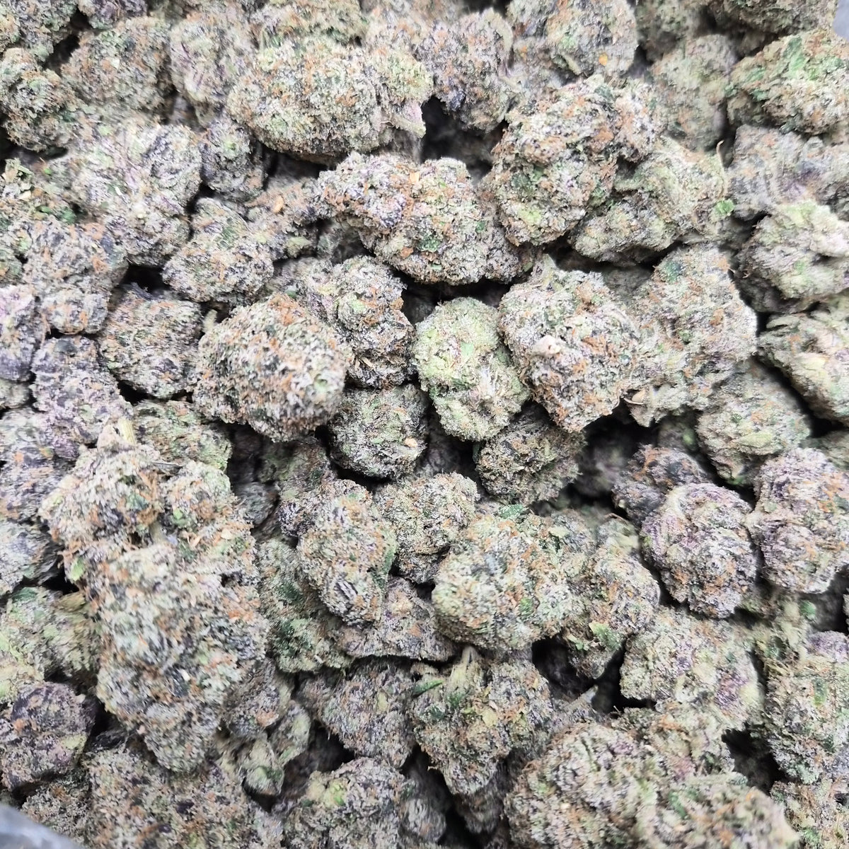 Watermelon Ringz THCA Flower – Indica · Indoor Exotic | CaliGreenGold