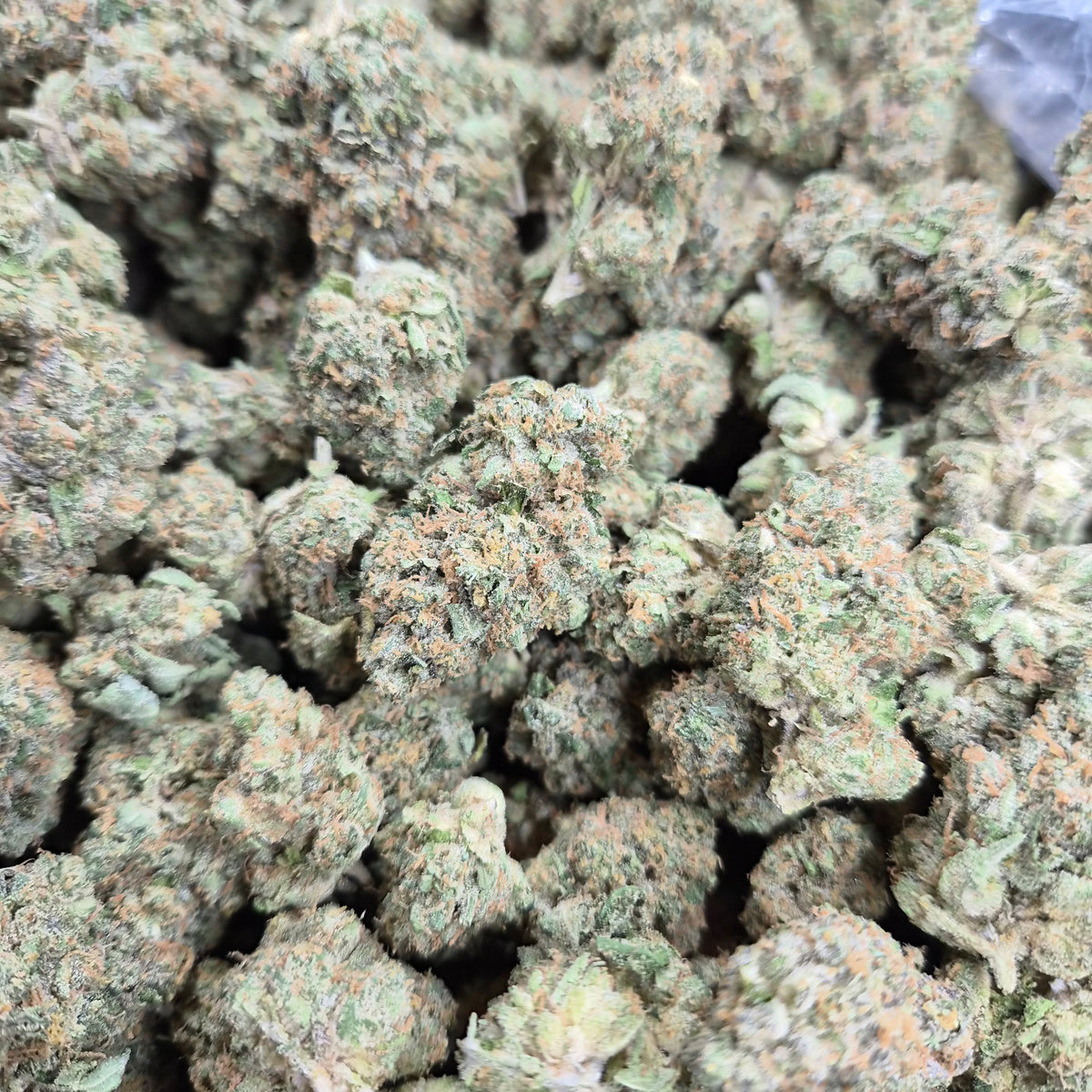 Durban Cookies THCA Flower – Sativa · Indoor Exotic