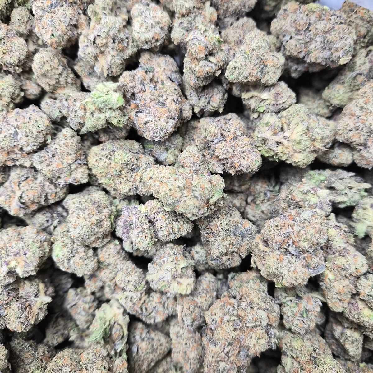 El Chemino THCA Flower – Sativa · Indoor Exotic | CaliGreenGold