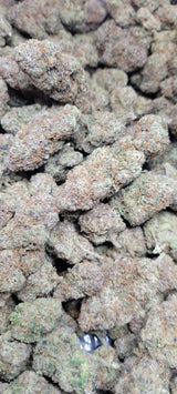 Lemon Cherry Gelato Exotic Indoor Flower Hybrid