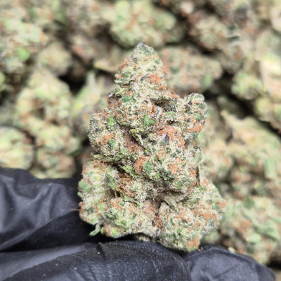 Sour Warheads THCA Flower – Indoor Top Shelf Sativa | CaliGreenGold