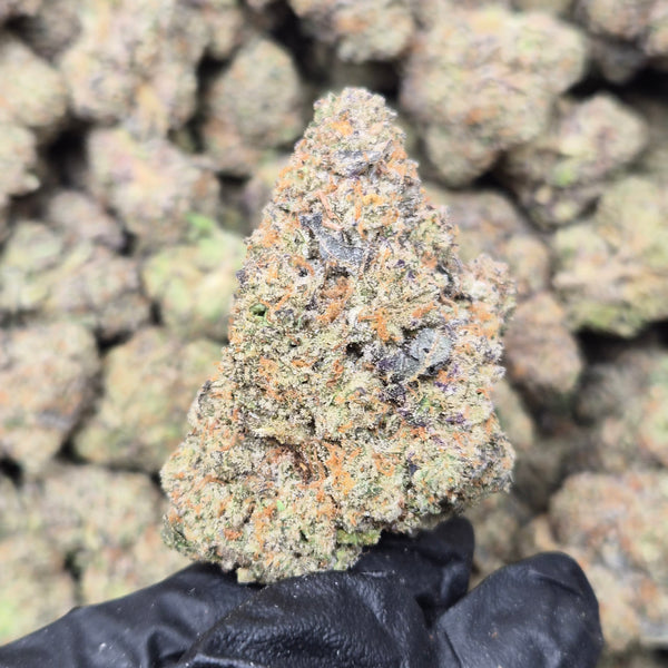 El Chemino THCA Flower – Sativa · Indoor Exotic | CaliGreenGold