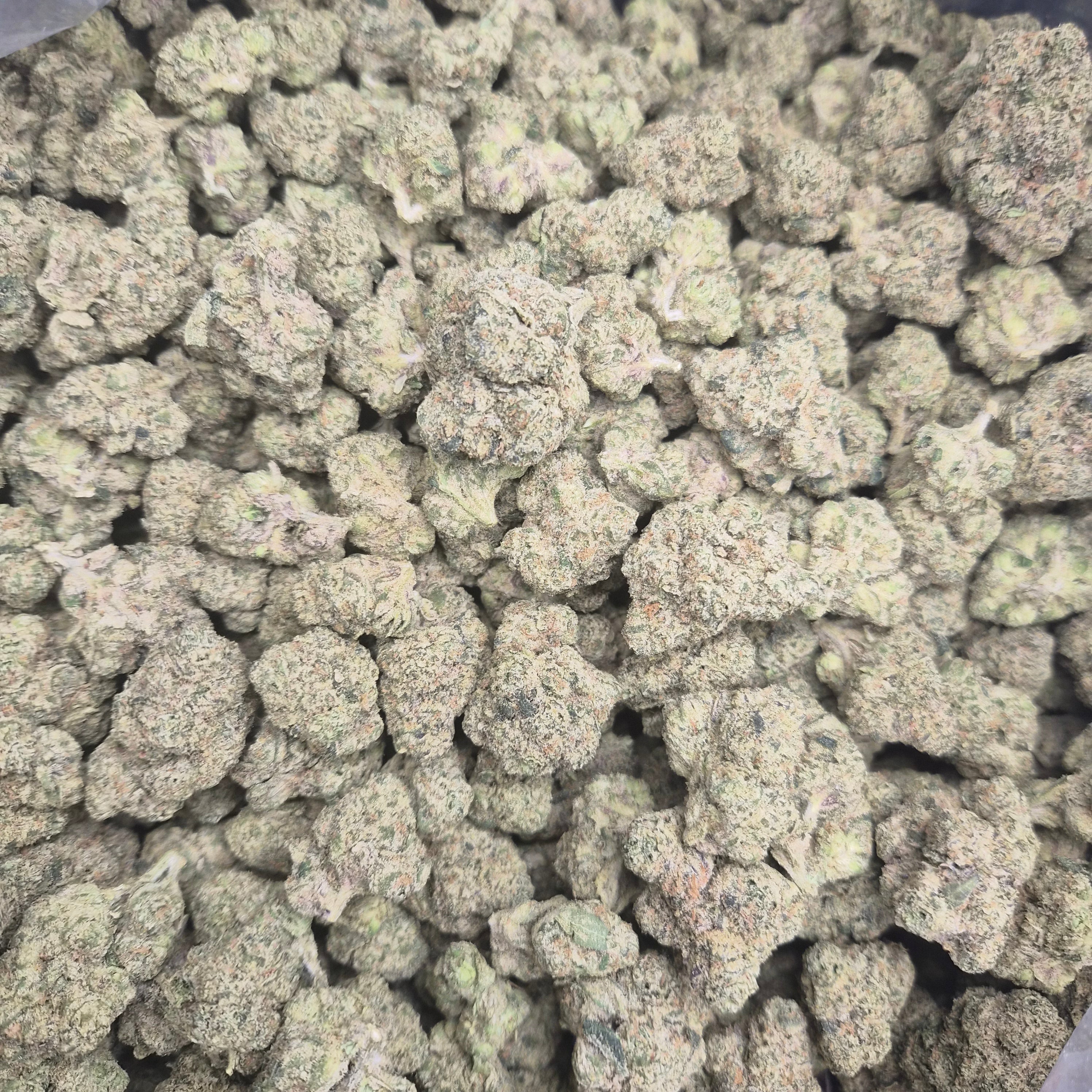Dire Wolf THCA Flower – Indoor Top Shelf Hybrid | CaliGreenGold