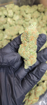 Pineapple Lemonade High THCA Flower Sativa