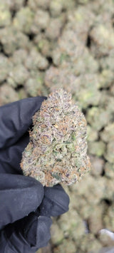 Blue Razz Exotic Indoor THCA Flower Indica