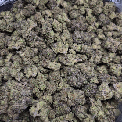 MOB Runtz THCA Flower – Indoor Top Shelf Hybrid | CaliGreenGold