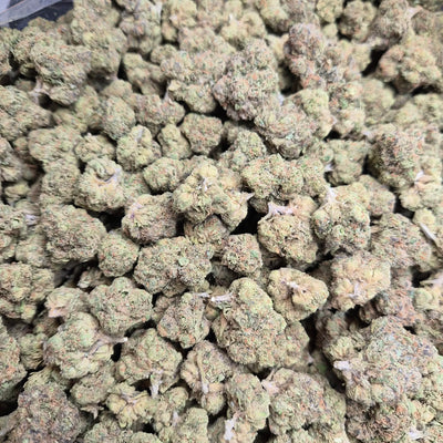 Blue Star THCA Flower – Indoor Top Shelf Hybrid | CaliGreenGold