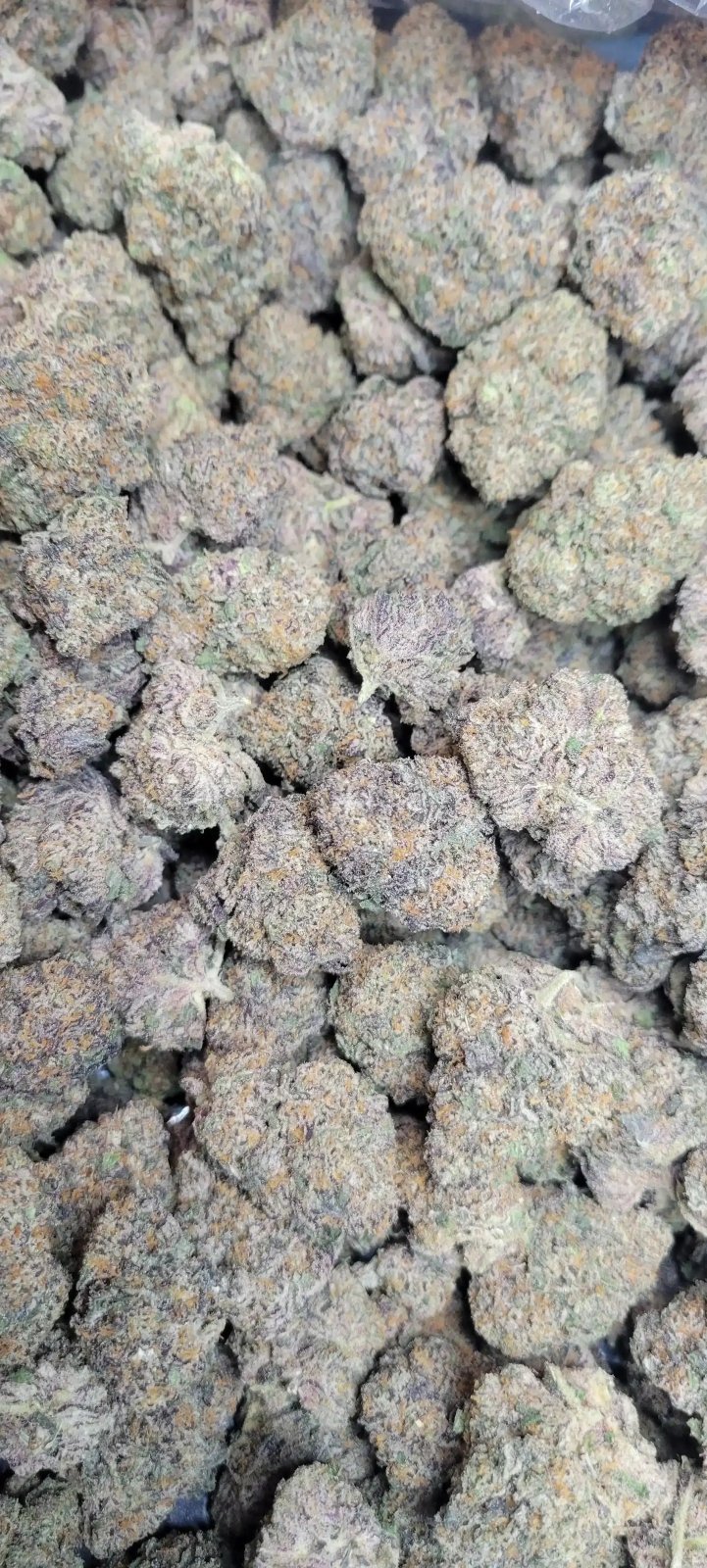 Runtz Exotic Indoor THCA Flower Hybrid - CaliGreenGold