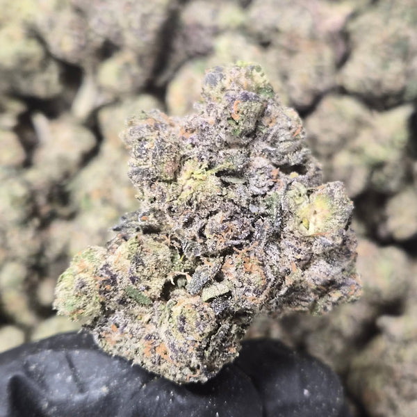 Runtzchata THCA Flower – Hybrid · Indoor Exotic - CaliGreenGold