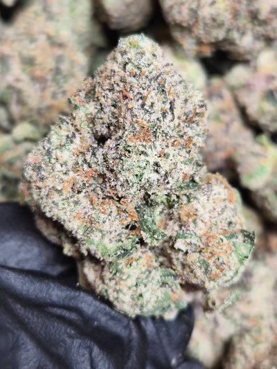 Sapphire THCA Flower – Indoor Exotic Hybrid | CaliGreenGold - CaliGreenGold