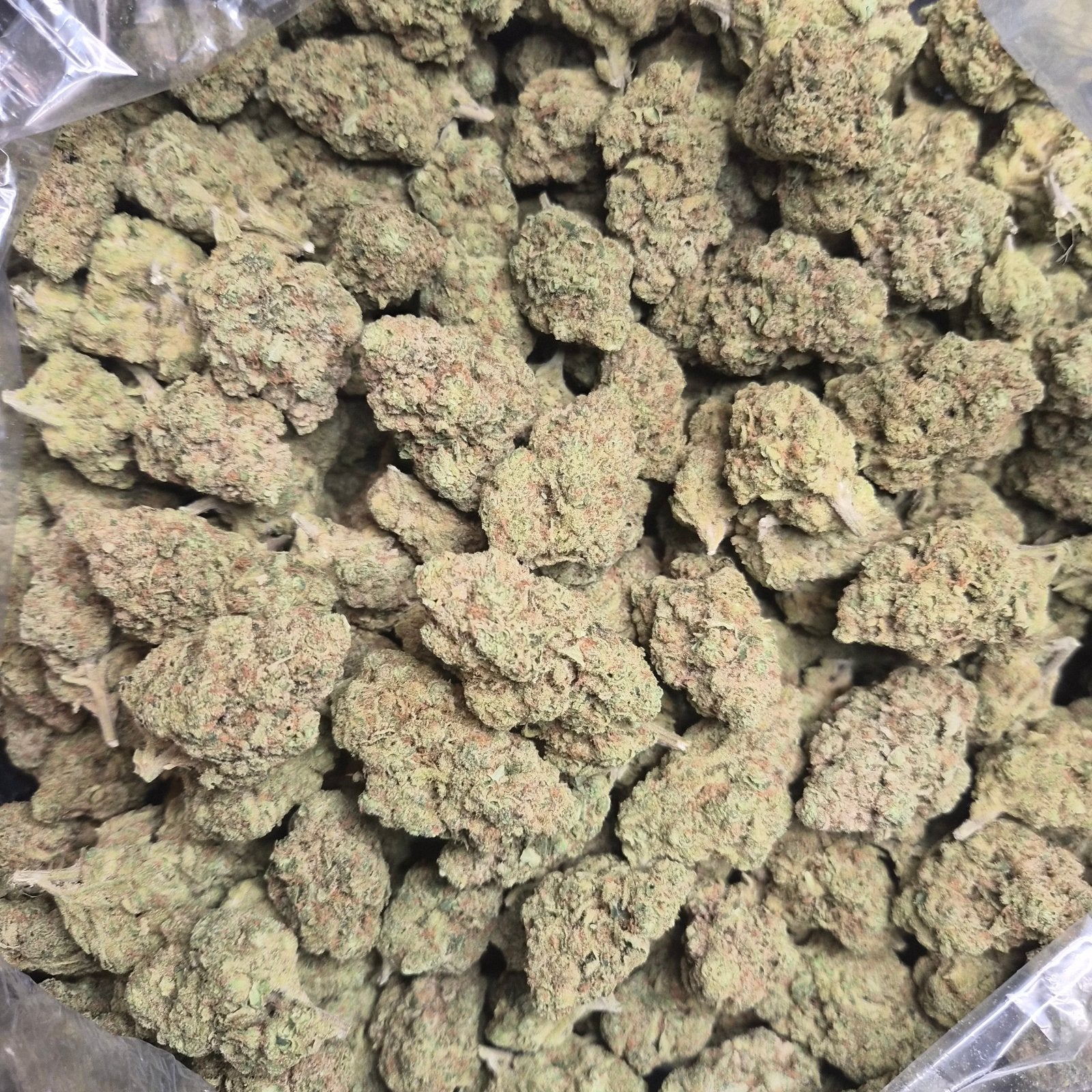 Sour Guava THCA Flower – Indoor Top Shelf Hybrid | CaliGreenGold - CaliGreenGold