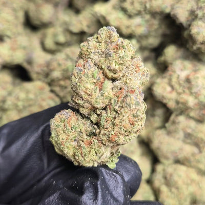 Strawberry Cheesecake THCA Flower – Indoor Top Shelf Hybrid | CaliGreenGold - CaliGreenGold